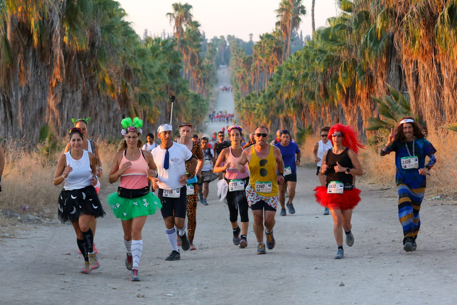 Israel Beaujolais Race Registration Israel Marathon