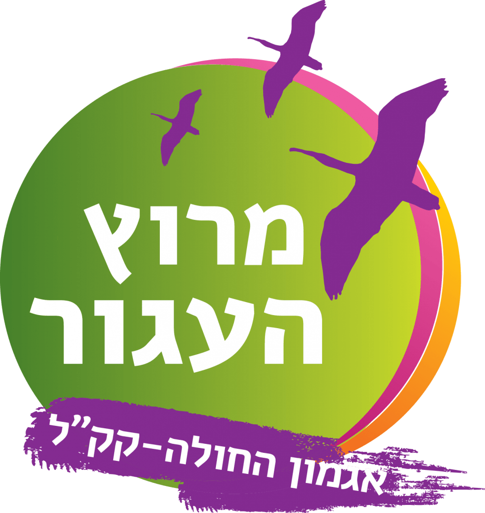 מרוץ העגור