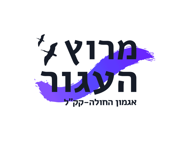 מרוץ העגור